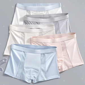 Heren Ijs Zijde Boxershorts Comfortabele Mesh Ademende Mid-Tase Naadloze Rechte Been Fabriek Direct Custom Logo - Product Image 1