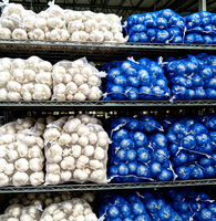 Ail Blanc Frais en Gros à Prix Compétitif, Légume Frais du Shandong, Chine, pour l'Exportation en Gros