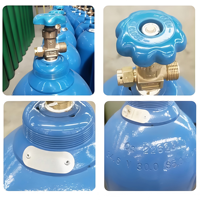 Cilindro de Oxígeno de 15L, Suministro Directo de Fábrica, Uso Industrial y Médico, Envío a Todo el Mundo