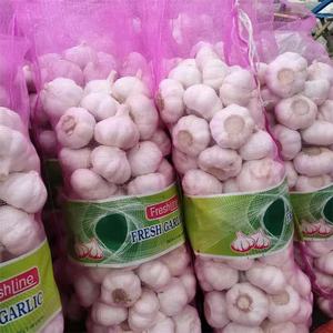 Ail frais blanc pur, bon marché, blanc neige, origine chinoise, ail Super blanc, vente en gros pour l'exportation - Product Image 4