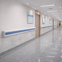 Barre d'appui murale antibactérienne en PVC pour hôpitaux et maisons de retraite, idéale pour les couloirs