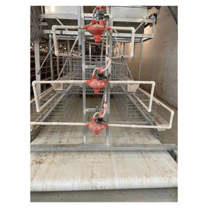 Grande ferme avicole au design moderne Cages à poulets avec batterie galvanisée automatique Cage à oiseaux à <span class=keywords><strong>vendre</strong></span> au Zimbabwe - Product Image 3