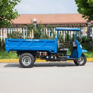 DIESEL ba bánh cho hàng hóa nặng mở 3-Wheel xe máy với nhiên liệu động cơ cơ giới lái xe - Product Image 2