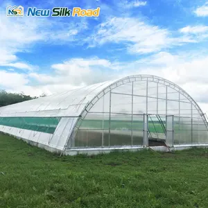 Kit serra per serra ad alto Tunnel agricolo con struttura in acciaio zincato a basso costo per serra NSR