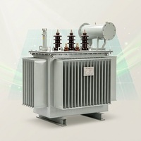 2. 10kVA Yağlı Tip Dağıtım Trafosu S13-M-1000 10.5kV/0.4kV 3 Fazlı Dyn11 5 Kademeli Tap Değiştirici Bakır Sargılı