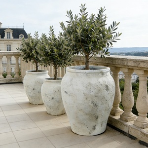 Vaso da Giardino <span class=keywords><strong>in</strong></span> <span class=keywords><strong>Cemento</strong></span> Intagliato a Mano Stile Americano, Ecologico, Decorazione per Villa, Patio, Hotel, Centro Commerciale - Product Image 2
