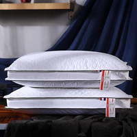 Oreiller de Lit Ergonomique à Motifs Géométriques Solides, Lavable, Confortable pour Hôtels 5 Étoiles, Accessoire de Sommeil