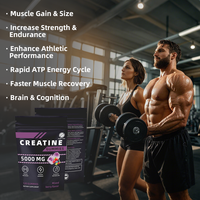 Sucre libre Créatine pure Monohydrate Complexe gommeux L-carnitine Taurine Créatine aromatisée pour femmes et hommes Gommes pré-entraînement