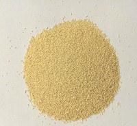 Extrait de levure alimentaire de haute qualité, poudre, qualité alimentaire
