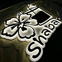 Insegna Logo Personalizzata in Acciaio Inox con Retroilluminazione LED, Lettere 3D Illuminate per Montaggio a Parete, Decorazione Pubblicitaria