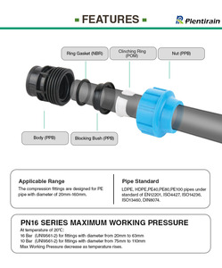 ข้อต่ออัดแบบประหยัด Plentirain สำหรับท่อ PE ขนาด 20-110 มม. ทนทานต่อรังสียูวี ได้รับการรับรองมาตรฐาน ISO9001 และ CE รองรับแรงดัน 16 บาร์ สำหรับงานประปา - Product Image 3