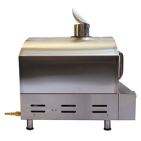 Four à pizza au gaz compact en acier inoxydable avec pierre céramique et fonction barbecue, certifié CE, idéal pour le camping en extérieur