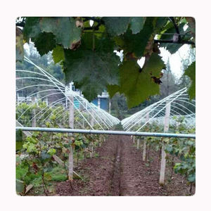 Piquets de Soutien Solides en Fibre de Verre pour Tomates, Vignes et Arbres – FRP Pultrudé Anti-Corrosion, Durable et Robuste - Product Image 4