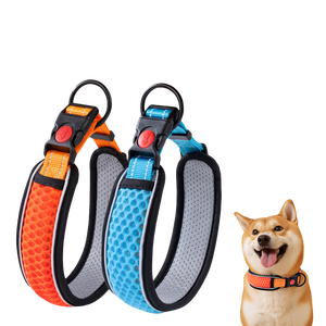 Reflecterende Halsband En Leiband Set Verstelbare Nylon Band Met Reflecterende Strips Nachtelijke Veiligheidswandelen Voor Grote Honden - Product Image 1