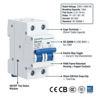 Disjoncteur miniature MCB 1P 2P 3P 4P 6-63A 10kA AC 230V Courbe C IEC 60898-1 CE CB