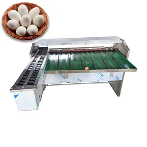 Egg Grader Hot Egg Sorting Machine 3 Row Egg Grader And Sorter
