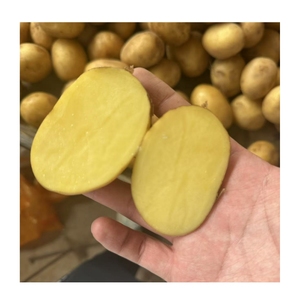 Pommes de terre fraîches naturelles en vrac, qualité supérieure, provenant de Chine, pour l'importation alimentaire mondiale et les supermarchés - Product Image 4