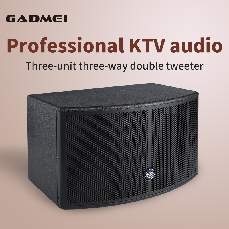 How to Choose a Genuine 1000W Party Speaker for Karaoke: Expert Buying Guide