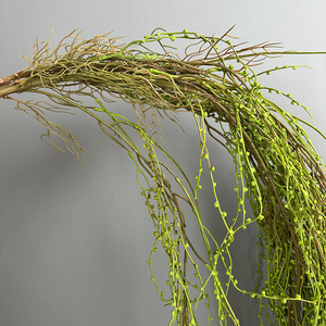 Plantes artificielles suspendues, type mousse, pour mur végétal, guirlandes de <span class=keywords><strong>saule</strong></span>, présentation en vitrine, aménagement de plafond - Product Image 4