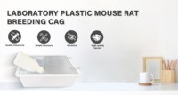 Cages d'élevage en plastique pour souris de laboratoire, rats et rongeurs avec système de rayonnages en acier inoxydable, également adaptées aux hamsters