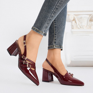 Chaussures Xuanhui grande taille, nouveau modèle, rétro, bout pointu, talon carré de 6 cm, escarpins à bride, talons épais pour femmes - Product Image 5