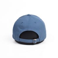 Casquette de baseball unisexe ajustable, style vintage, bleu clair, 6 panneaux, broderie florale 3D, mode décontractée