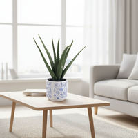 Natürliche Neuheiten Hochrealistische Immergrüne Künstliche Aloe Vera Pflanze für Innenräume Hochzeitsdekoration Umweltfreundlich