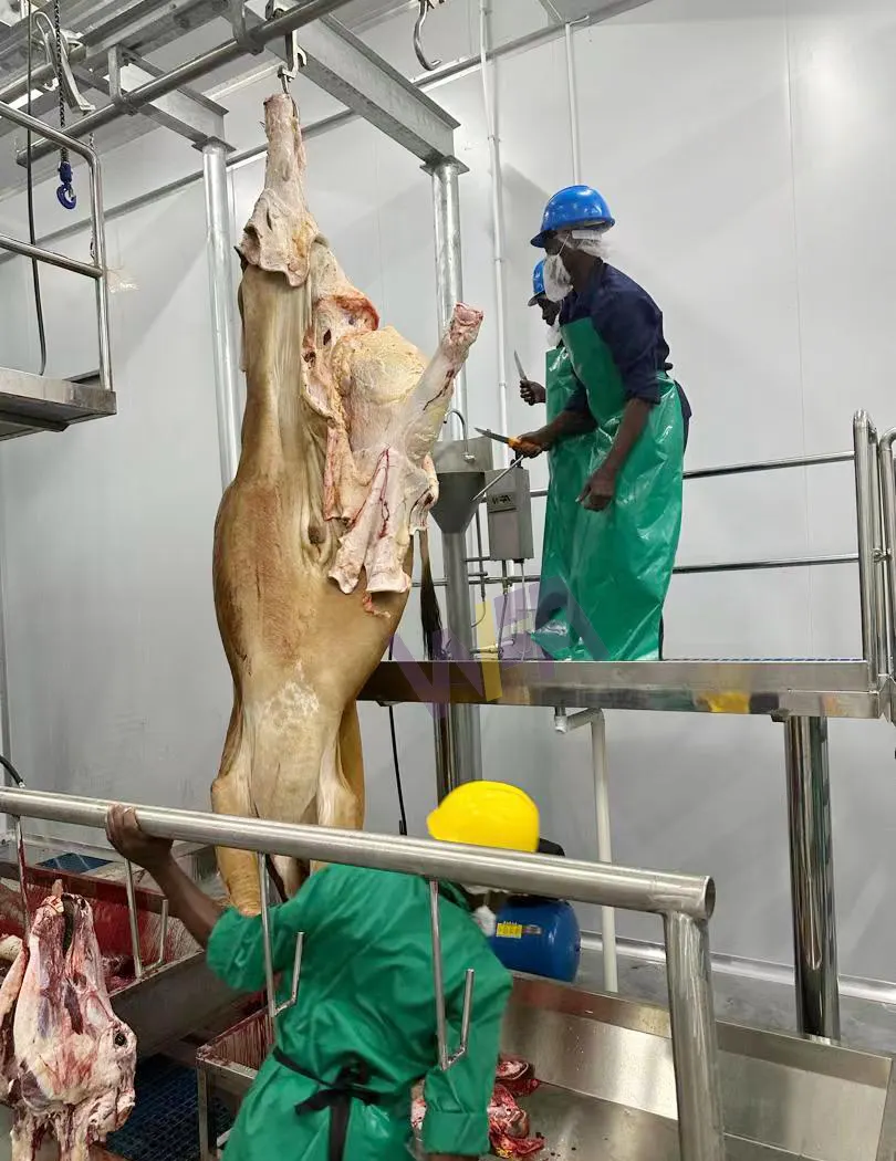 Hiệu quả cao Halal trâu giết mổ gia súc máy giết mổ với trâu giết mổ thiết bị