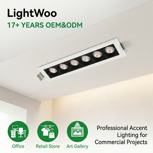 Luminaria Lineal LED para Interiores con Difusor de PC de 20W para Aulas Escolares, Laboratorios, Focos de Techo - Product Image 1