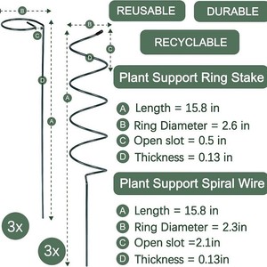 Tige de fixation de jardin Spirale en métal Fer Vert Plante <span class=keywords><strong>Support</strong></span> <span class=keywords><strong>pour</strong></span> vigne grimpante Cadre Plante verte - Product Image 4