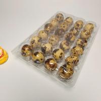 Boîte à œufs de caille en plastique transparent, 18 alvéoles, recyclable, en PET, emballage en vrac, jetable, petit conteneur pour œufs d'oiseaux