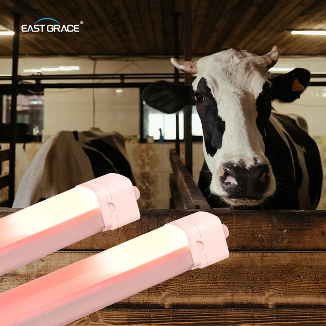 UV IP66 Dairy Tube LED Light Control with Blue and Red for Poultry Farming Intelligent Lighting Control System