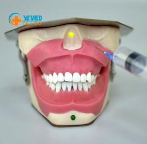 Modelo de Simulación de Anestesia con Alerta Audible para Escuelas y Hospitales - Product Image 1