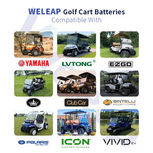 Paquete de batería de iones de litio para carrito de golf Deep Cycle IP65 48V 72v 60ah 100ah 150ah 173ah 200ah Lifepo4 51,2 V - Product Image 5