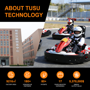 TSKART 3000W Brushless Motor Go Karting Cars Indoor Outdoor Track Go Karts for Adults <b>72V</b> 30Ah LFP <b>Battery</b> - Product Image 2