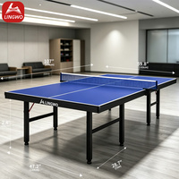 Table de ping-pong portable mini de haute qualité pour l'intérieur et l'extérieur – Offre spéciale