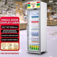 Réfrigérateur Commercial 450L 2900L à Refroidissement par Ventilation, Sans Givre, pour Boissons, avec Contrôle Numérique, 5 Portes, Autonome
