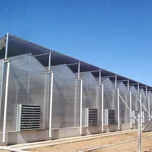 Serre commerciale multi-travées en polycarbonate pour la production <span class=keywords><strong>de</strong></span> fraises, <span class=keywords><strong>de</strong></span> baies et <span class=keywords><strong>de</strong></span> fruits avec kit d'irrigation goutte-à-goutte intelligent - Product Image 2