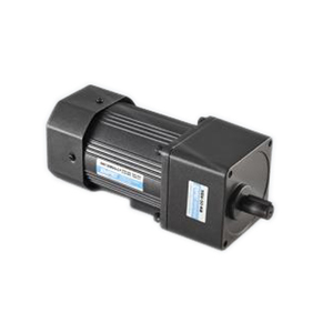 มอเตอร์ไฟฟ้าเหนี่ยวนำเฟสเดียว 110V 220V 40W แบบมีเกียร์ - Product Image 3