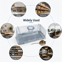 Piège à souris en fil galvanisé, cage de capture humaine pour attraper les rats vivants, pour le contrôle des rongeurs en intérieur