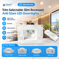 Plafonnier COB carré sans cadre anti-éblouissement 100-240V avec variateur DALI 24 ° /36 °   Downlight LED sans cadre 4IN 15W DT6/DT8 CRI 90