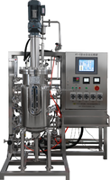 Bioréacteur de fermenteur automatique 20L, réservoir de mélange industriel de fermenteur d'acier inoxydable