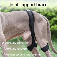 Attelle de soutien pour dysplasie de la hanche canine, équipement de récupération pour déchirure du ligament croisé antérieur, fournitures orthopédiques pour soins articulaires canins en gros, directement de l'usine