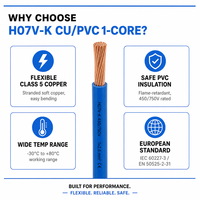 H07V-K PVC-isolierter Einadrig Flexibler Kupferdraht 450/750V CE RoHS Klasse 5 Mehradrig 0,5-240mm² Geräte-Innenverkabelung