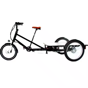 Carga pesada bicicleta eléctrica camión de reparto caja trasera <span class=keywords><strong>Velomobile</strong></span> 3 ruedas Ebike para carga con caja de aluminio para entrega - Product Image 4