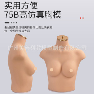 Accessoires pour vitrines de lingerie et soutiens-gorge et pour la photographie : Mannequin féminin en silicone souple et réaliste, demi-corps, poitrine 75B/C - Product Image 5