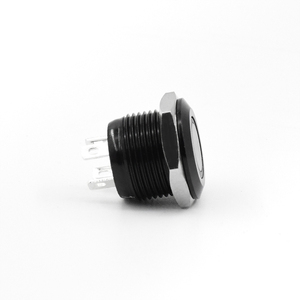 Husa 12Mm Korte Slag Waterdichte Power Led Licht Schakelaars 1no Drukknop Kortstondige Knop Moderne Platte Kop 220V/24V Controle - Product Image 3