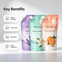 Pochettes à bec verseur 250ml/500ml/1L/3L pour lessive liquide – Sacs d'emballage personnalisés refermables avec bouchon pour savon liquide