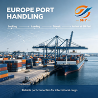 Transporte Marítimo DDP Puerta a Puerta, Agente de Transporte de China a Eslovenia y Europa