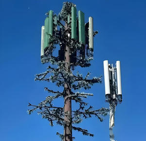 Poteau de communication en acier galvanisé à chaud, tour d'antenne amateur, arbre artificiel de 30 m, bionique, durée de vie de 50 ans, certifié ISO9001 - Product Image 4